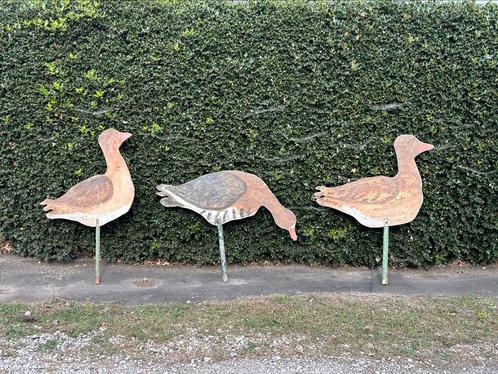 Houten siereenden, 3 stuks, Dieren en Toebehoren, Pluimvee, Eend