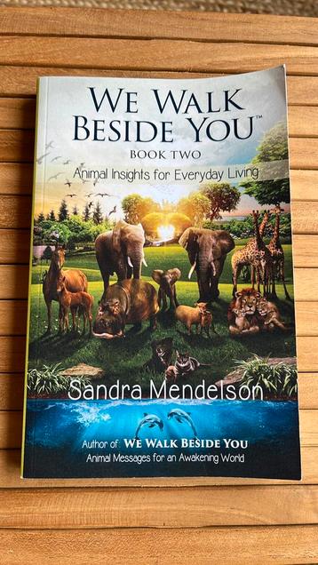 Sandra Mendelson - We walk beside you Book two