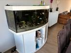 Vissen met aquarium, Ophalen, Gebruikt