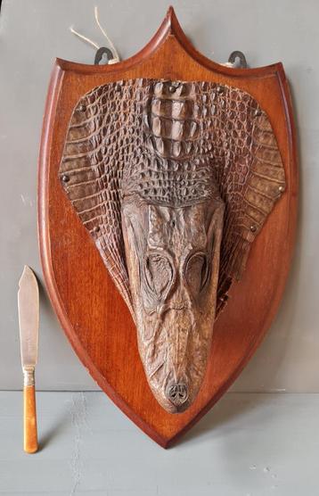 Victorian sleeping croc op mahonie schild beschikbaar voor biedingen