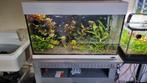 Aquarium 120L.  80cm breed, perfecte staat., Dieren en Toebehoren, Ophalen, Zo goed als nieuw