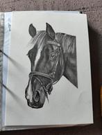 Realistische tekening portret paard, Huis en Inrichting, Woonaccessoires | Schilderijen, Tekeningen en Foto's, Ophalen, Tekening