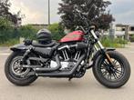 Harley Davidson Forty Eight Special (2020), Particulier