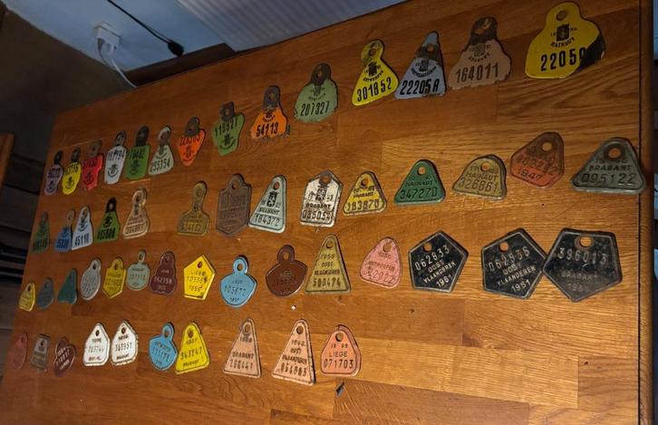 collectie fietsplaten taksplaten België, Antiek en Kunst, Curiosa en Brocante, Ophalen