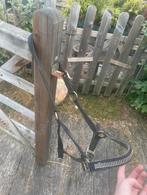 Halster full, Animaux & Accessoires, Chevaux & Poneys | Brides & Harnachement, Enlèvement ou Envoi, Utilisé