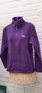 Vliesgolf maat m touch down, Kleding | Dames, Truien en Vesten, Maat 38/40 (M), Overige kleuren, Ophalen of Verzenden, Zo goed als nieuw