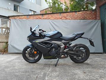 Triumph Daytona 660 2024 beschikbaar voor biedingen