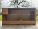 Kweekkooi, Dieren en Toebehoren, Ophalen of Verzenden