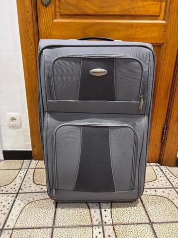 Valise grise grande capacité Cosmopolite beschikbaar voor biedingen