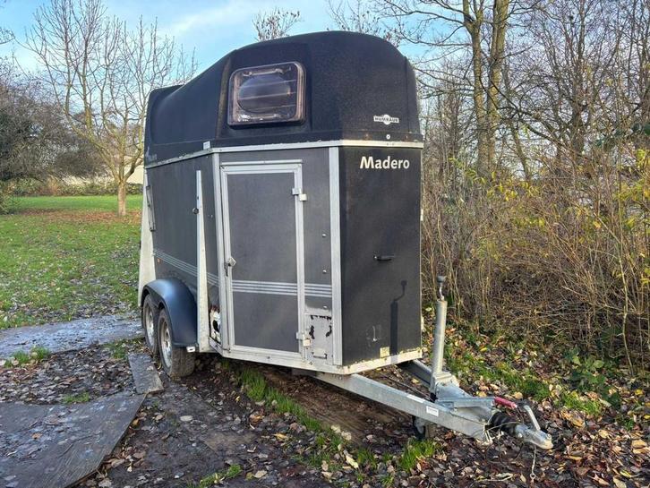 Humbaur - Madero - Remorque à chevaux, Animaux & Accessoires, Chevaux & Poneys | Semi-remorques & Remorques, Utilisé, Autres types