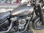 Harley FLSL Slim- 2019- 7087 km, Motoren, Motoren | Harley-Davidson, 1746 cc, 2 cilinders, Chopper, Bedrijf