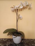 Kunstplant orchidee, Ophalen