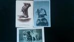 Cartes postales chiens divers, Envoi, Avant 1920, Affranchie, Anvers