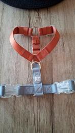 Hondenharnas voor middelgrote hond, Enlèvement