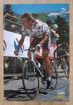 Poster Steven Rooks (Tour de France 1988), Verzamelen, Zo goed als nieuw, Poster, Plaatje of Sticker, Verzenden