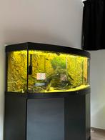 Juwel vision 450, Ophalen