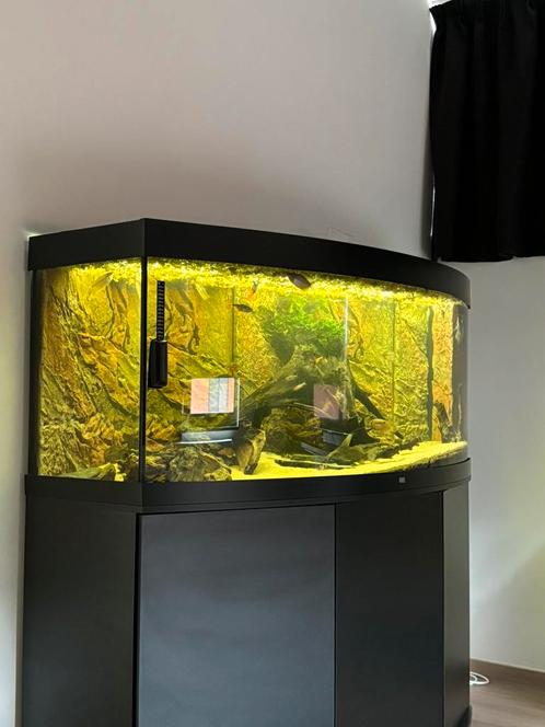 Juwel vision 450, Dieren en Toebehoren, Vissen | Aquaria en Toebehoren, Ophalen
