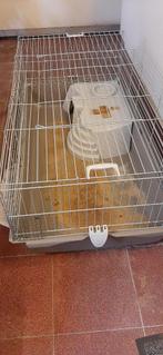 Cage à Lapin + (en option litière), Animaux & Accessoires, 75 à 110 cm, Enlèvement, Utilisé, Cage