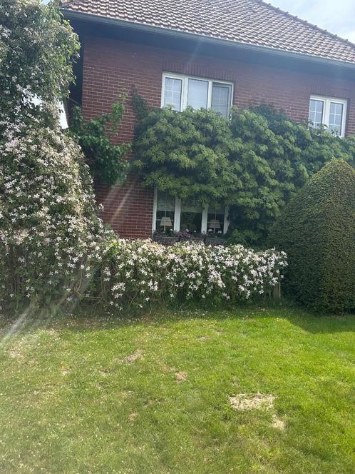Woning met aanpalende gronden en paardenstallen, Immo, Huizen en Appartementen te koop, Provincie Limburg, 1500 m² of meer, Vrijstaande woning