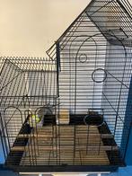 2 parkieten met kooi, Dieren en Toebehoren, Ophalen, Zo goed als nieuw