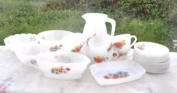 ensemble arcopal fleurs des champs 2 motifs 25 pieces, Maison & Meubles, Cuisine | Vaisselle, Utilisé, Service complet, Autres matériaux