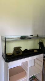 Aquarium van 130 liter met een sluier van porselein, Dieren en Toebehoren, Vissen | Aquaria en Toebehoren, Gebruikt