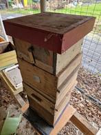 Warre kast  met bijen  volkje, Animaux & Accessoires, Insectes & Araignées, Abeilles