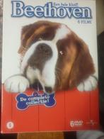 Dvd box beethoven, CD & DVD, DVD | Enfants & Jeunesse, Enlèvement