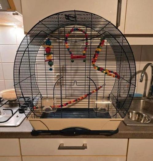 Kleine vogelkooi, Dieren en Toebehoren, Vogels | Hokken en Kooien, Gebruikt, Vogelkooi, Ophalen