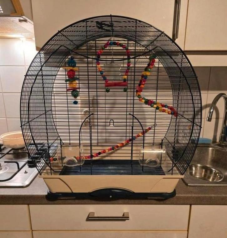Kleine vogelkooi, Dieren en Toebehoren, Vogels | Hokken en Kooien, Gebruikt, Vogelkooi, Ophalen