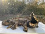 Beeld krokodil, tuin, zwembad, vijver, woonkamer 125cm, Tuin en Terras, Ophalen, Nieuw, Kunststof, Dierenbeeld
