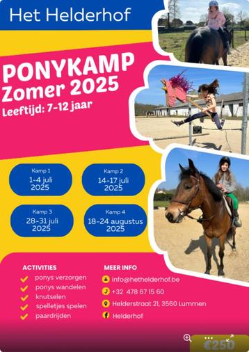 Ponykampen zomer 2025