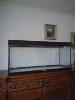 Grote, stevige aquarium JUWEL, Enlèvement, Utilisé, Aquarium vide