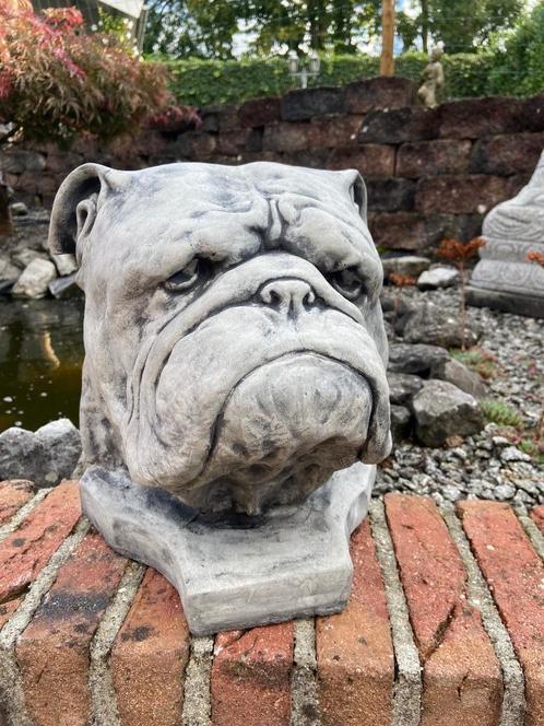 Engelse Bulldog Kop., Jardin & Terrasse, Statues de jardin, Neuf, Animal, Béton, Enlèvement