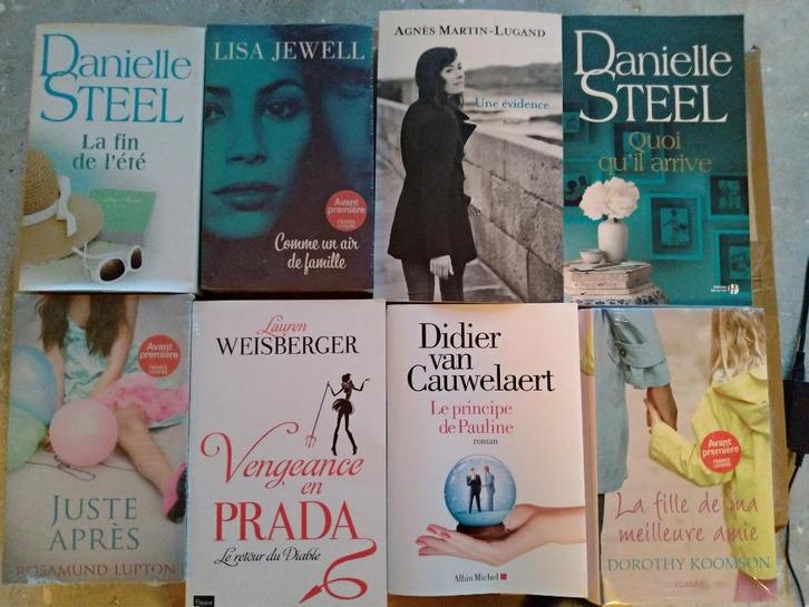Romans Divers, Boeken, Romans, Zo goed als nieuw, Ophalen of Verzenden