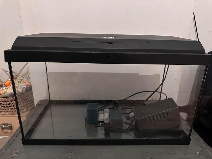 Juwel aquarium, Animaux & Accessoires, Poissons | Aquariums & Accessoires, Utilisé, Aquarium vide, Enlèvement