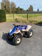 Suzuki Quad LT80, Motos, Quads & Trikes, 1 cylindre, 80 cm³