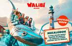2x Walibi ticket tem 5/10/2025 via mail of ophalen