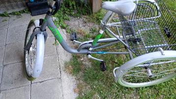 Driewieler  beschikbaar voor biedingen