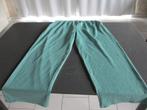 appelblauwzeegroene dames broek, Vêtements | Femmes, Culottes & Pantalons, Mer du sud, Enlèvement, Comme neuf, Vert