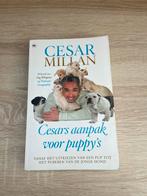 Cesar Millan boek, Livres, Animaux & Animaux domestiques, Chiens, Cesar Millan, Enlèvement, Neuf