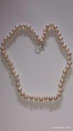 Halsketting met zoetwaterparels, Handtassen en Accessoires, Kettingen, Ophalen of Verzenden, Nieuw, Wit, Zilver