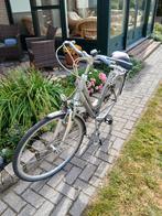 Damesfiets, Fietsen en Brommers, Versnellingen, Zo goed als nieuw, 50 tot 53 cm, Ophalen