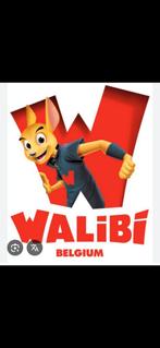 6 tickets walibi, Tickets en Kaartjes, Recreatie | Pretparken en Attractieparken