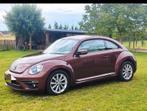 Beetle / cocinelle tdi euro6b, Auto's, Volkswagen, Voorwielaandrijving, Bruin, Particulier, 2 deurs