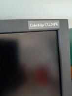 Eizo ColorEdge CG241W beelscherm monitor, Ophalen, Gebruikt, DVI