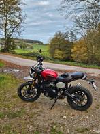 Triumph Scrambler 400x, Motoren, Motoren | Triumph, 400 cc, Particulier, Enduro, Minimaal motorrijbewijs A2