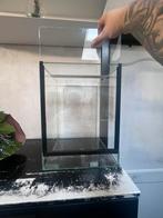 terrarium, Dieren en Toebehoren, Ophalen, Zo goed als nieuw