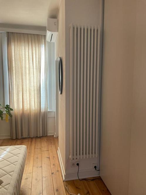 Radson Delta V E radiator 1750 watt elektrische verwarming, Doe-het-zelf en Bouw, Verwarming en Radiatoren, Zo goed als nieuw