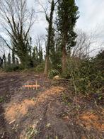 Bomen snoeien in ruil voor hout, Tuin en Terras, Ophalen